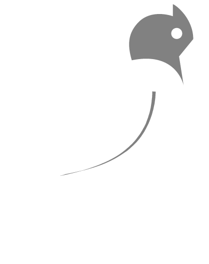 wagtail-bird-inverted.png